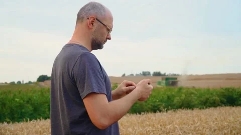 Caucasian man using and tapping on smartphone while standing in agricultural Video stock 209616069