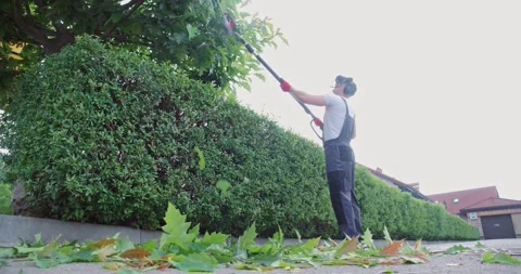 Caucasian man using electric trimmer for pruning tree Stock Footage 263149876