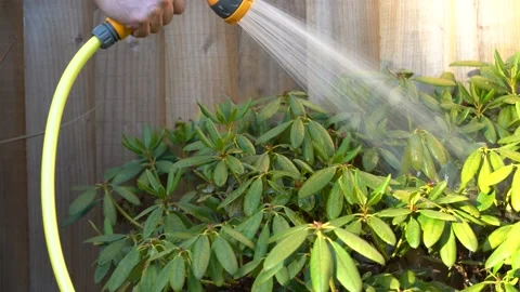 Caucasian man using a hosepipe to water plants in a garden. Stock Footage 204041076