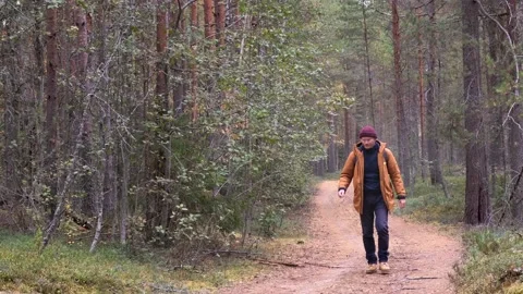 Caucasian man wearing backpack walking in the coniferous forest Stock Footage 161415495