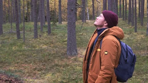 Caucasian man wearing backpack walking in the coniferous forest Stock Footage 161884476