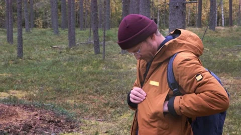 Caucasian man wearing backpack walking in the coniferous forest Stock Footage 164218194
