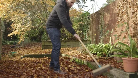 Caucasian man working in the back yard clearing leaves Stock-Footage 71230947