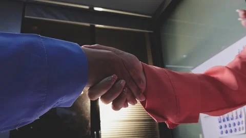 Caucasian middle aged man shaking hands with Caucasian young adult woman du.. Stock Footage 341615278