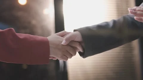 Caucasian middle aged man shaking hands with Caucasian young adult woman du.. Видео 341615393