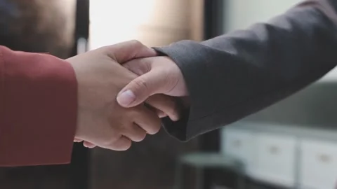 Caucasian middle aged man shaking hands with Caucasian young adult woman du.. Stock Footage 341615433
