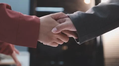 Caucasian middle aged man shaking hands with Caucasian young adult woman du.. Stock Footage 341615590