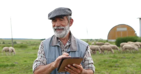 Caucasian old man shepherd in cap walking outdoor at field and using tablet Video stock 137126568