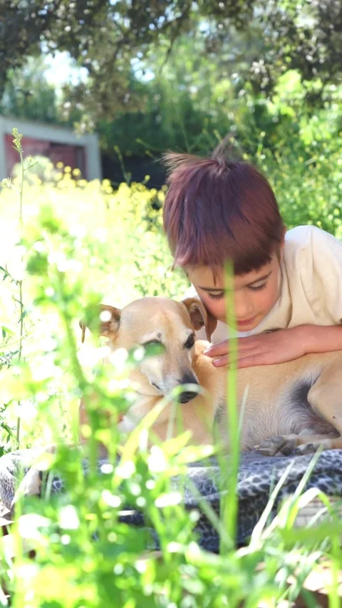 Caucasian school age boy cuddling his dog in nature Stock Footage 273786247