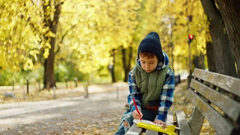 Caucasian schoolboy doing homework on a bench in an autumn park. Stock Footage 256093256