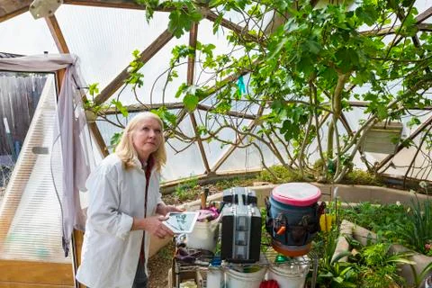 Caucasian scientist using digital tablet in greenhouse Stock Photos