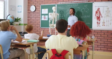 Caucasian teacher in smart clothes with model of human skeleton explaining body Stock Footage 201426965