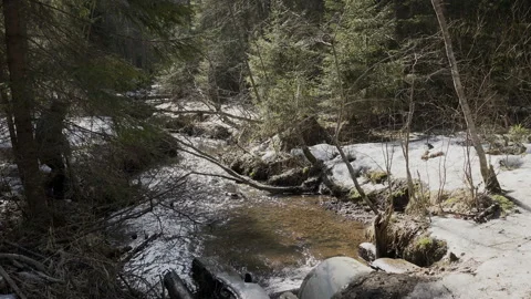 Caucasian type boy crosses the small forest river in the spring Stock Footage 130139588