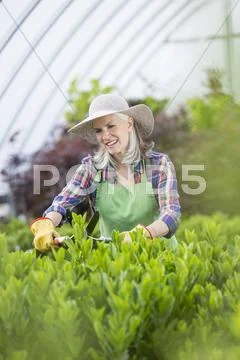 Caucasian Woman Pruning Plants In Greenhouse