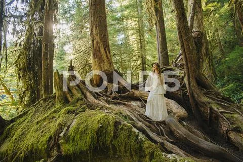 Caucasian Woman Standing On Root In Forest