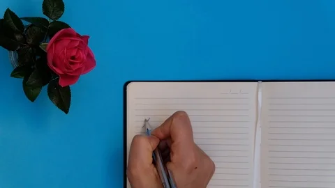 Caucasian woman writing in a gratitude journal phrase "Today I'm grateful for" Stock Footage