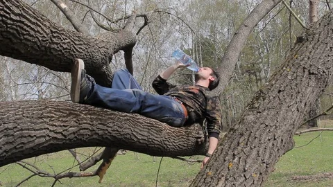 Caucasian young guy drinking water sitting in a tree Stock Footage 75336171