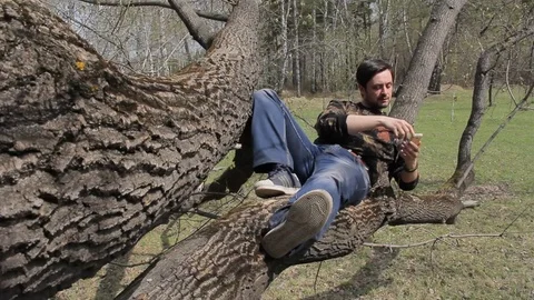 Caucasian young guy using smart phone sitting in a tree. Stock Footage 75336076