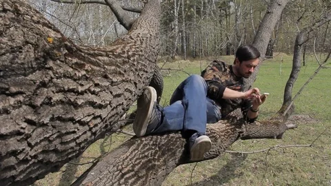 Caucasian young guy using smart phone sitting in a tree. Stock Footage 75336107