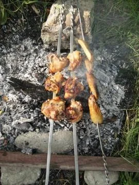 Caucasus barbeque on the bonfire Stock Photos