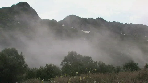 Caucasus Stockbeeldmateriaal 574633