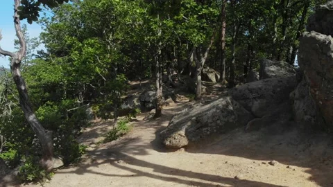 Caucasus forest path. Caucasus forest in summer. Stock Footage 132502094
