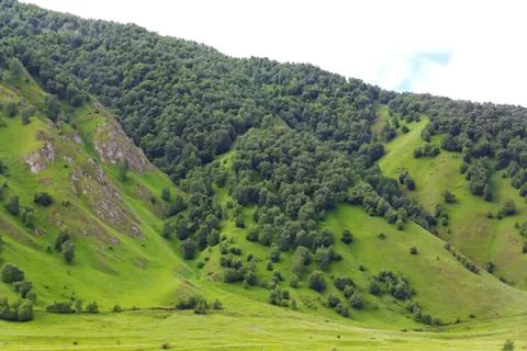 Caucasus green mountains Stock Photos