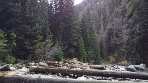 Caucasus. Mountain river. Stock Footage 144097114