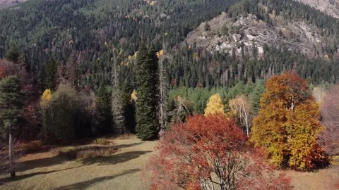 Caucasus. Mountain slopes. Fall. Panorama Stock Footage 144096763