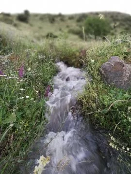 Caucasus.  Mountain stream 스톡 사진