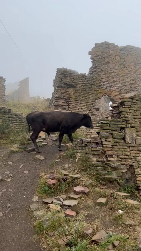 Caucasus scenery  스톡 동영상 248383680