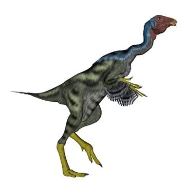 Caudipteryx dinosauwalking - 3D render Stock Illustration