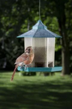 Caught in the act Stock-Fotos