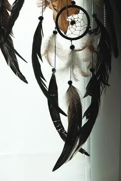Caught between shadows and dreams, a delicate dance of feathers hangs 스톡 사진