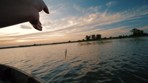 Caught fish dangles on a hook suspended on a fishing line Stock Footage 120626626