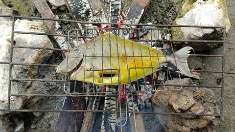 Caught grilled fish Stock Photos