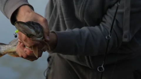 Caught pike 動画素材 48911331