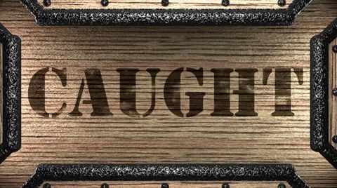 Caught on wooden stamp Stock Footage 8647857