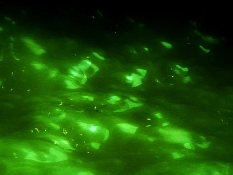 Cauldron Stock Footage 489890