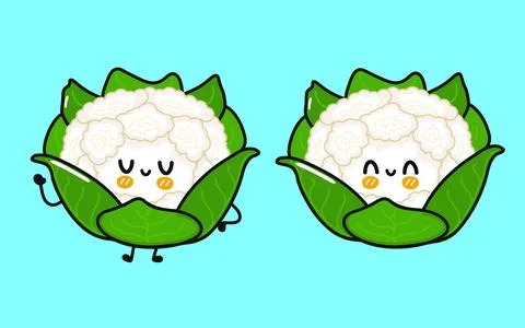 Cauliflower character. Vector hand drawn cartoon kawaii character illustrat.. Illustrazione stock