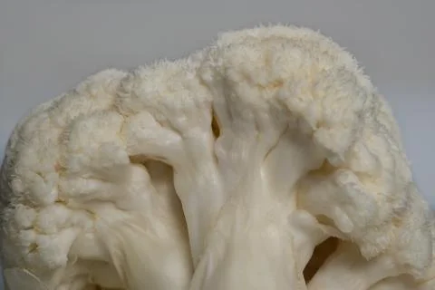 Cauliflower close-up on grey background, texture Stock Photos