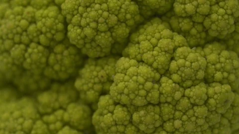 Cauliflower close up shot and texture detail Stock-Footage 101582535