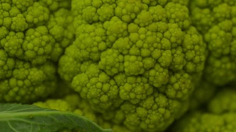 Cauliflower close up shot and texture detail Stock-Footage 101698014
