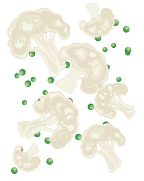 Cauliflower design Illustrazione stock