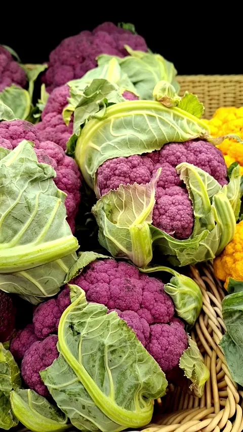 Cauliflower Stock Footage 341690584