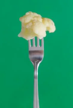 Cauliflower on a fork on a green background Stock Photos
