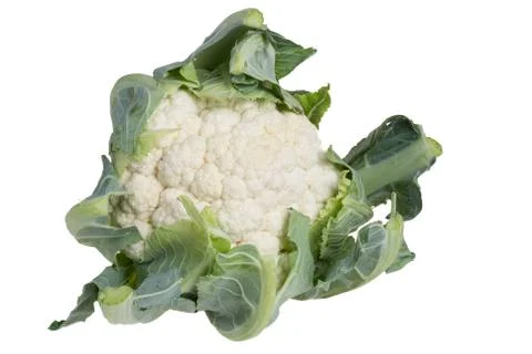 Cauliflower head isolated on white Stock Photos