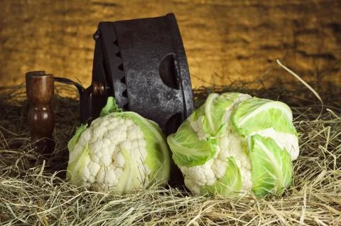 Cauliflower Heads Stock Photos