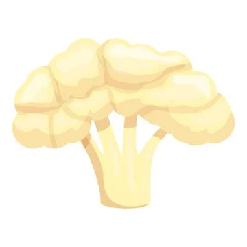 Cauliflower icon cartoon vector. Cabbage food Illustrazione stock