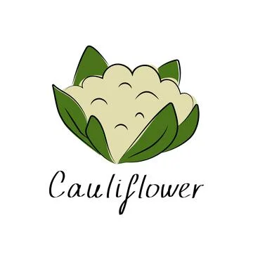 Cauliflower icon in flat style. Isolated object. Cauliflower logo. Isolated Stock Illustration